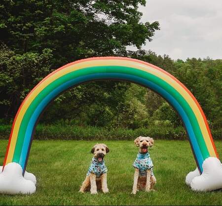 Finn & Elliot 🌈