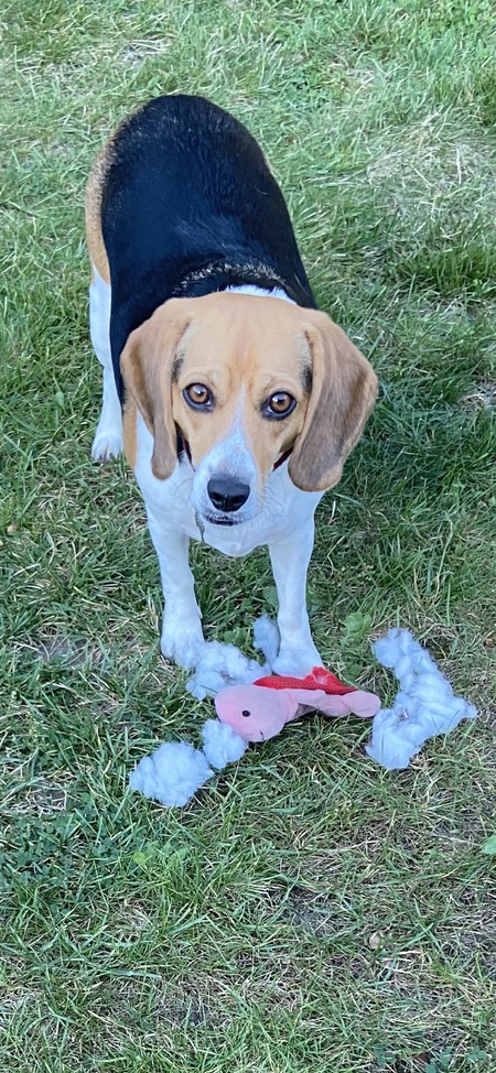 Maggie 