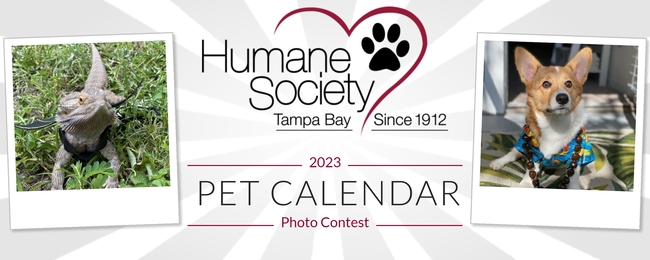 Upcoming Events – Humane Society of Tampa Bay