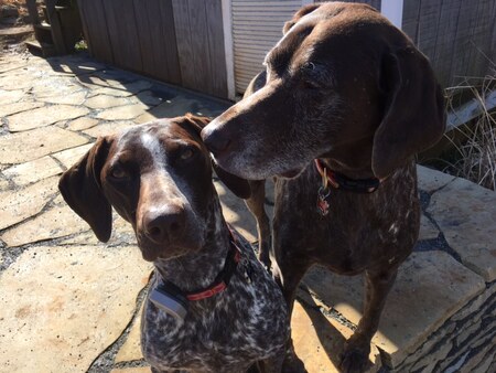 Jilly and Willa