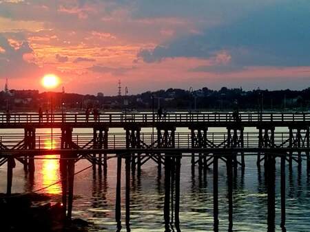 Quincy at sunset by Kathy Murphy