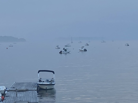 Misty Morning Hop -Carol Somers