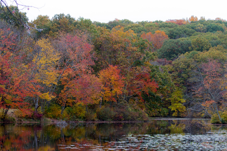 Autumn Hike