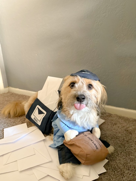 Chico the Mail boy 