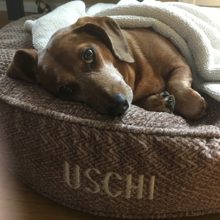 Uschi 