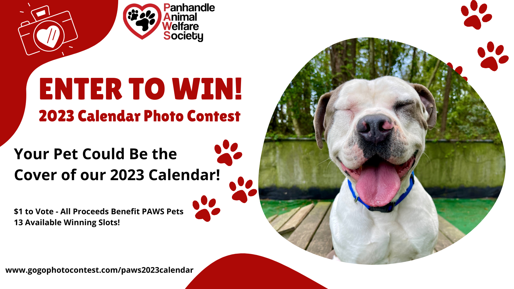 Panhandle Animal Welfare Society PAWS 2023 Calendar Contest