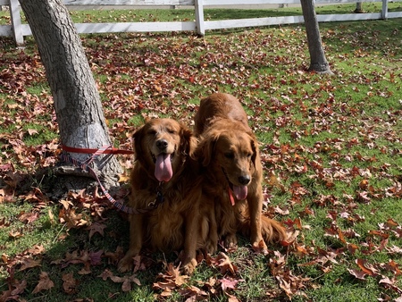 Piper and Stella Rose