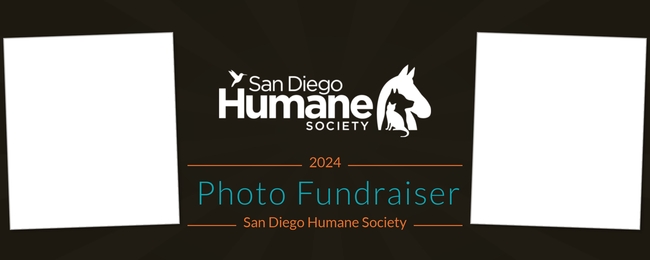 San Diego Humane Society 2024 Photo Fundraiser   Bannertemplate 01 