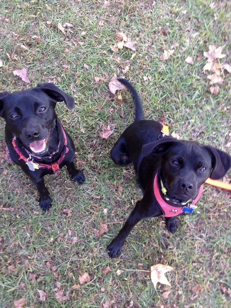 Gabby and Rocket