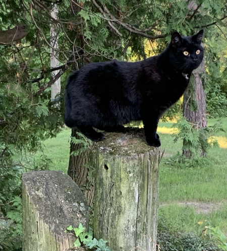 Salem