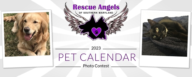 Rescue Angels of Southern Maryland Rescue Angels 2023 Calendar Photo
