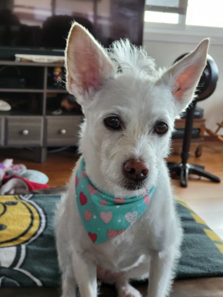 Lucy