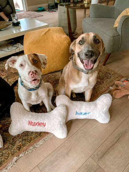 Huxley & Bauer