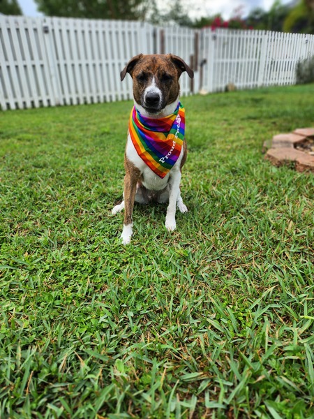 Rosie