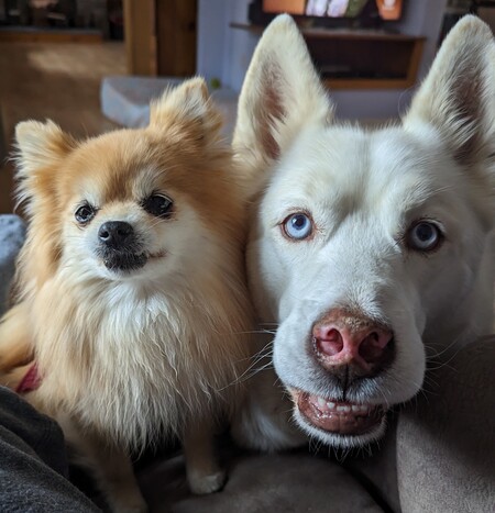 Mia and Bubba