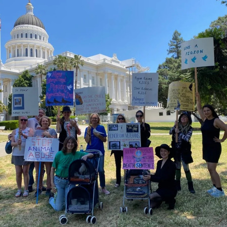 Demonstration at the State Capital in Sacramento, CA