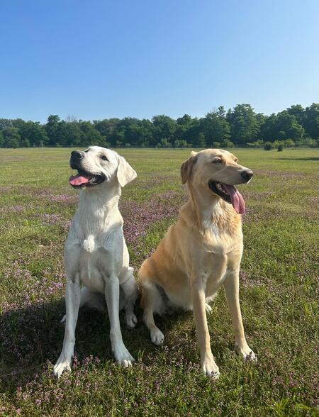 Lilah and Azalea 