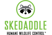 Skedaddle Humane Wildlife Control