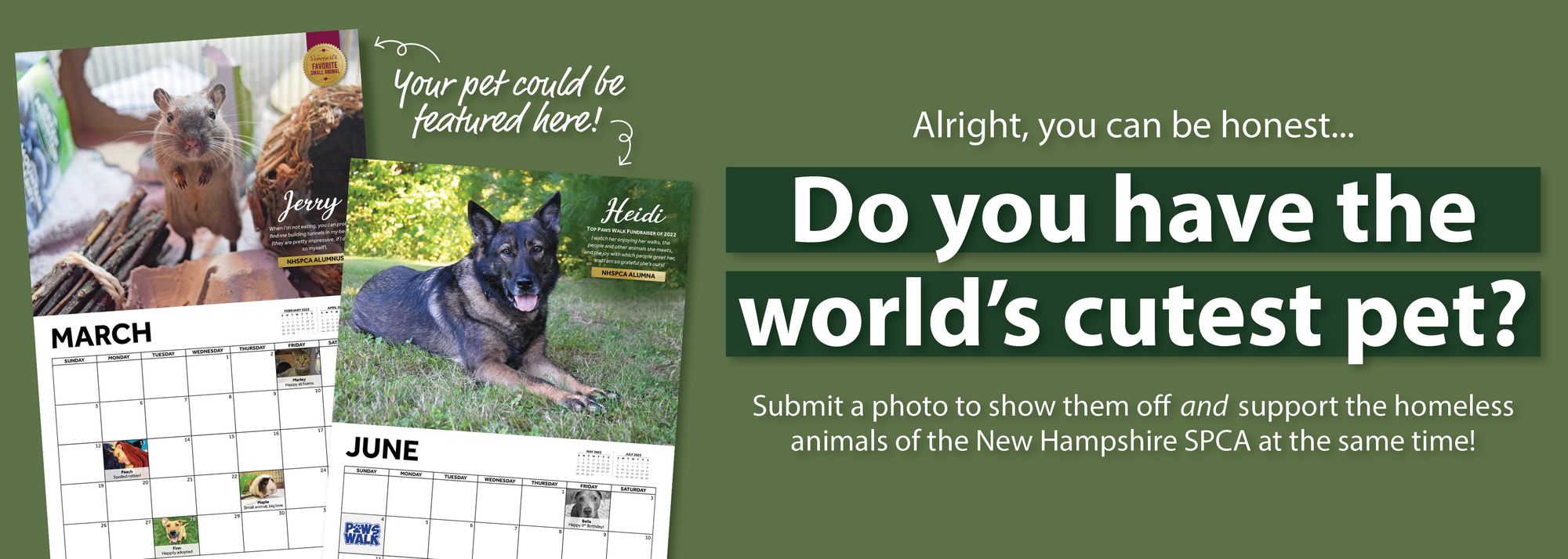 New Hampshire SPCA The 2024 NHSPCA Calendar Contest