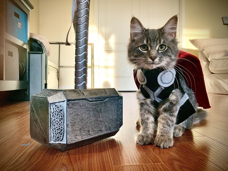 Thor