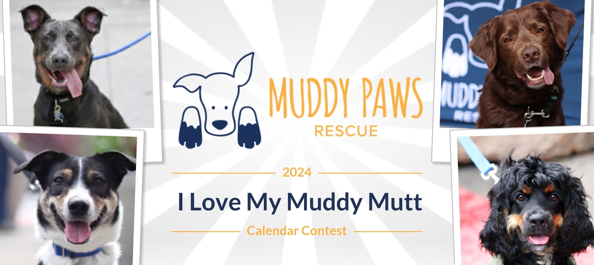 All About Canine Enrichment! — Muddy Paws Rescue