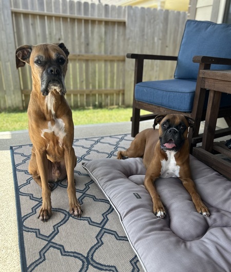Opie and Molly