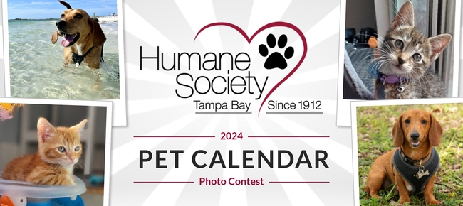 Tampa Bay's most popular - Humane Society of Tampa Bay