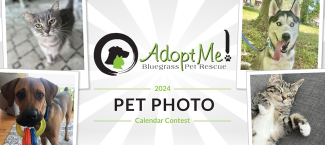 Adopt Me! Bluegrass Pet Rescue - Home