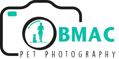 https://bmacpetphotography.com/