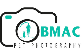 https://bmacpetphotography.com/