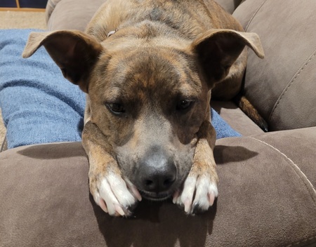 Zoey