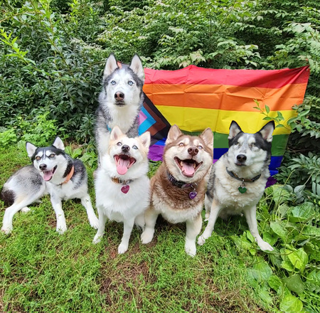 Nuka, Aleu, Tucker, Komi, & Kiki 