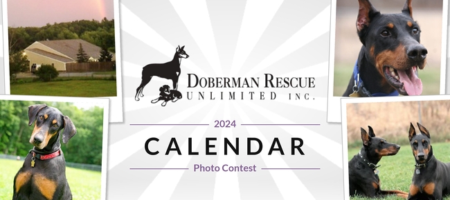 Prizes | Doberman Rescue Unlimited | 2024 DRU Calendar Photo Contest