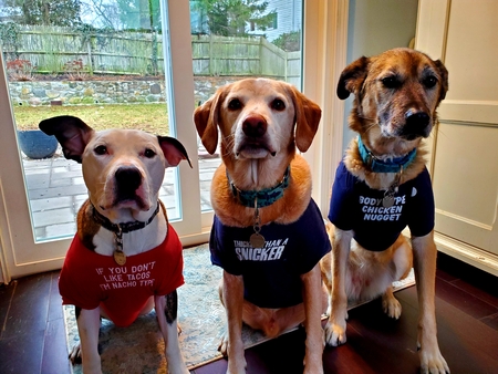 Stanley, Cooperstown, and Chloe