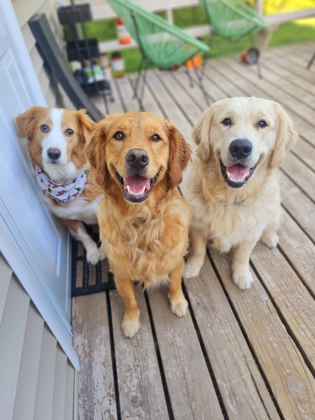 Ally, Carrie and Dodge