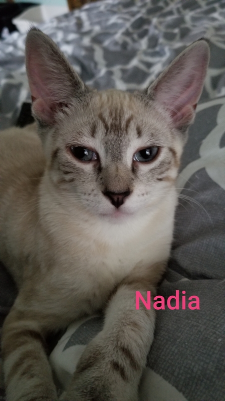 Nadia 