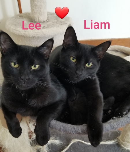 Lee & Liam