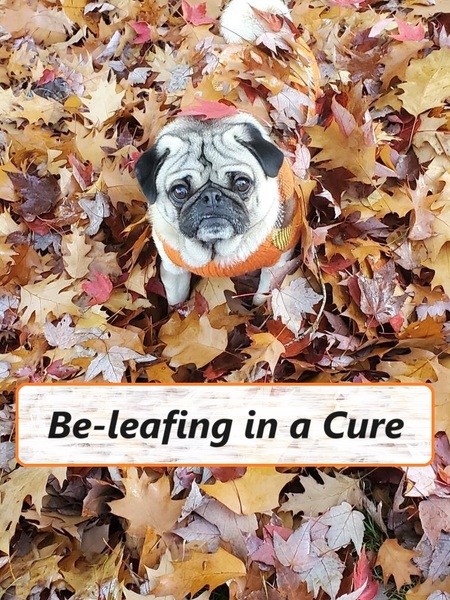 Be-leafing in a Cure