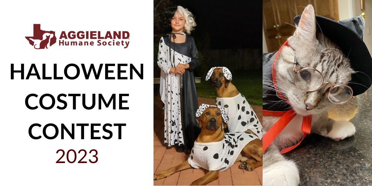 Aggieland Humane Society Halloween Costume Contest 2023