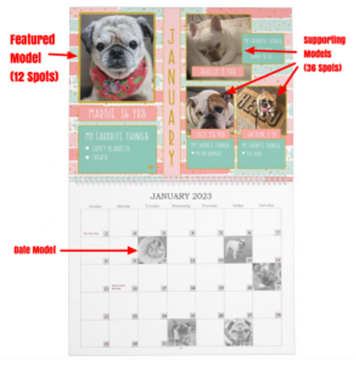 S.N.O.R.T Rescue 2024 Calendar Photo Contest and Fundraiser