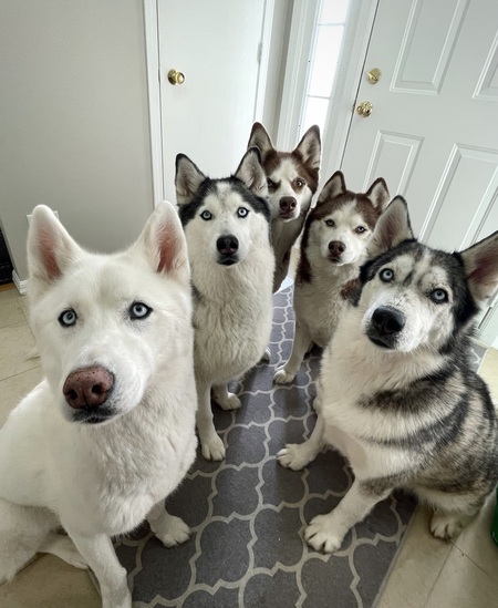 Sky, Storm, Autumn, Chance, & Sasha