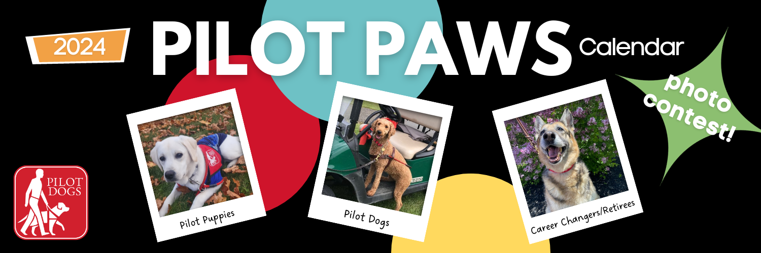 Pilot Dogs Pilot Dogs 2024 Calendar Pilot Paws Photo Contest   Banner 14 