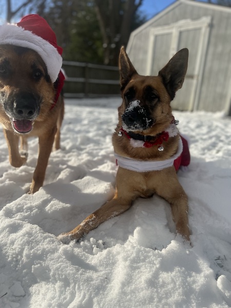 Mila & Rocky