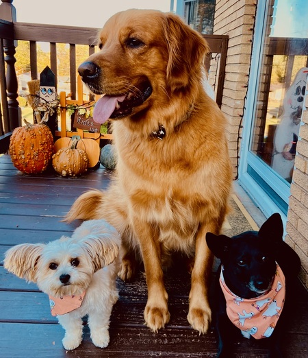 Corky, Sammie, and Ellie