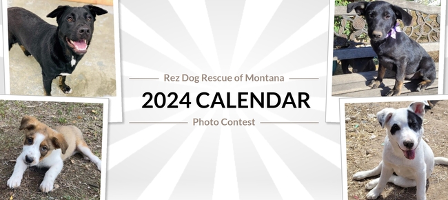 Rez Dog Rescue of Montana Rez Dog Rescue of Montana Calendar Contest