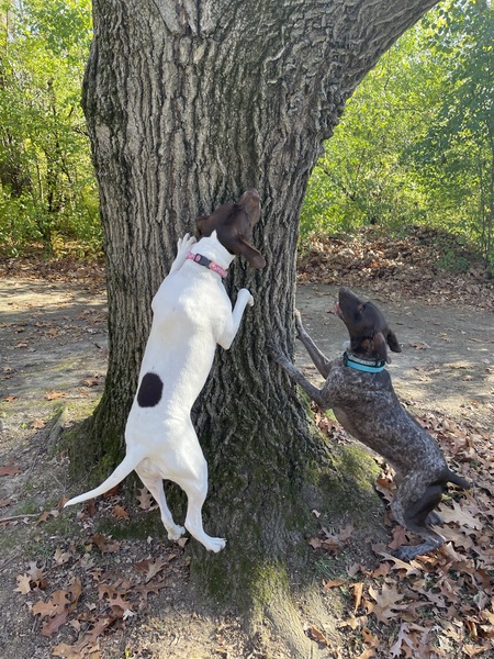 Elly and Willow