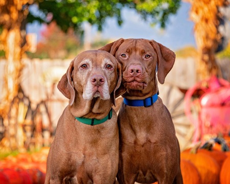 Cooper and Nash