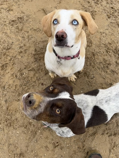 Otis and Birdie