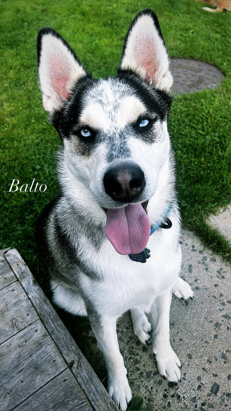 Balto