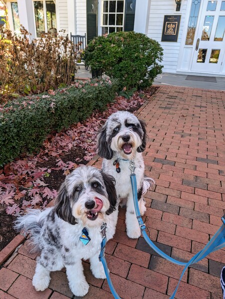 Barkley and Boozer